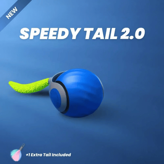 ✨2025 New Arrival 50% OFF🐱Interactive Rechargeable Cat Toy Ball