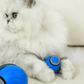 ✨2025 New Arrival 50% OFF🐱Interactive Rechargeable Cat Toy Ball
