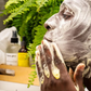 💥Hot Sales-50% OFF🔥Sulfur-Infused Brightening Soap