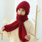 🎄🔥EARLY CHRISTMAS SALE -49% OFF - Integrated Ear Protection Windproof Cap Scarf🔥