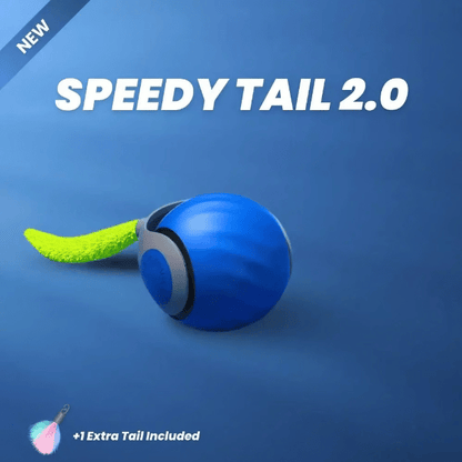 ✨2025 New Arrival 50% OFF🐱Interactive Rechargeable Cat Toy Ball