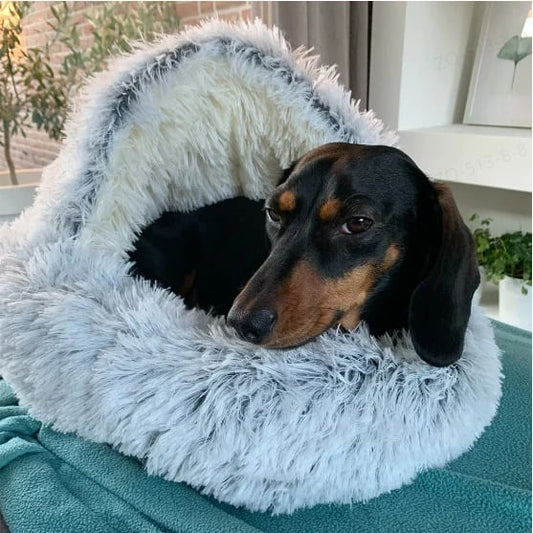 ⏰LAST DAY SPECIAL PRICE:￡12.99!🔥Plush Bed For Dogs & Cats🐶🐱