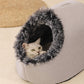 💥🎁LAST DAY SALE 50% OFF✨🔥 🐾 Winter Warm Pet Cave Bed🐾